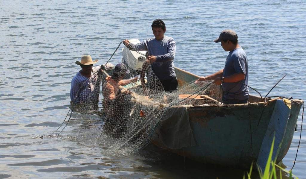 Sag Organizará La Cadena Pesquera Para Garantizar Producción Y Mercado A Pequeños Pescadores 5084