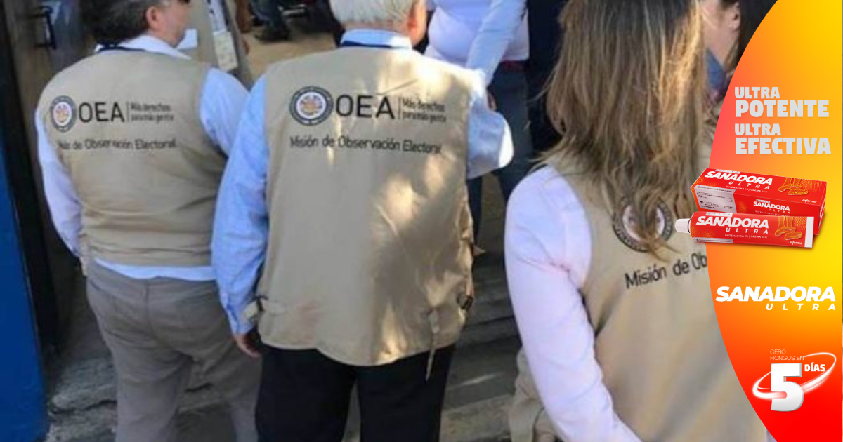 Misión De La OEA Pide A Todas Las Partes Involucradas En Las Elecciones ...