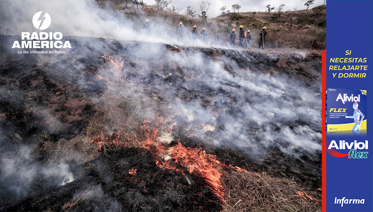 Más De 1000 Hectáreas Afectadas Por 70 Incendios Forestales En Honduras 9925